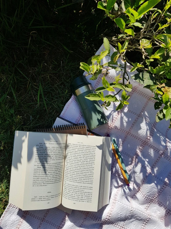 two books laying on a blanket on top of a green field