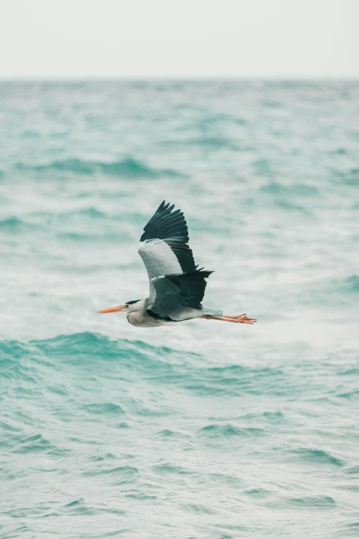 a bird flying over the ocean with some waves