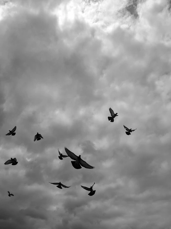 the birds are flying high into the cloudy sky