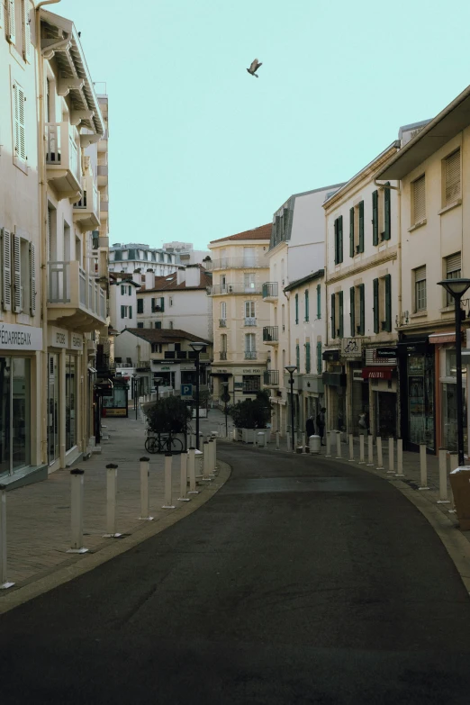 the empty street has a large bird flying overhead