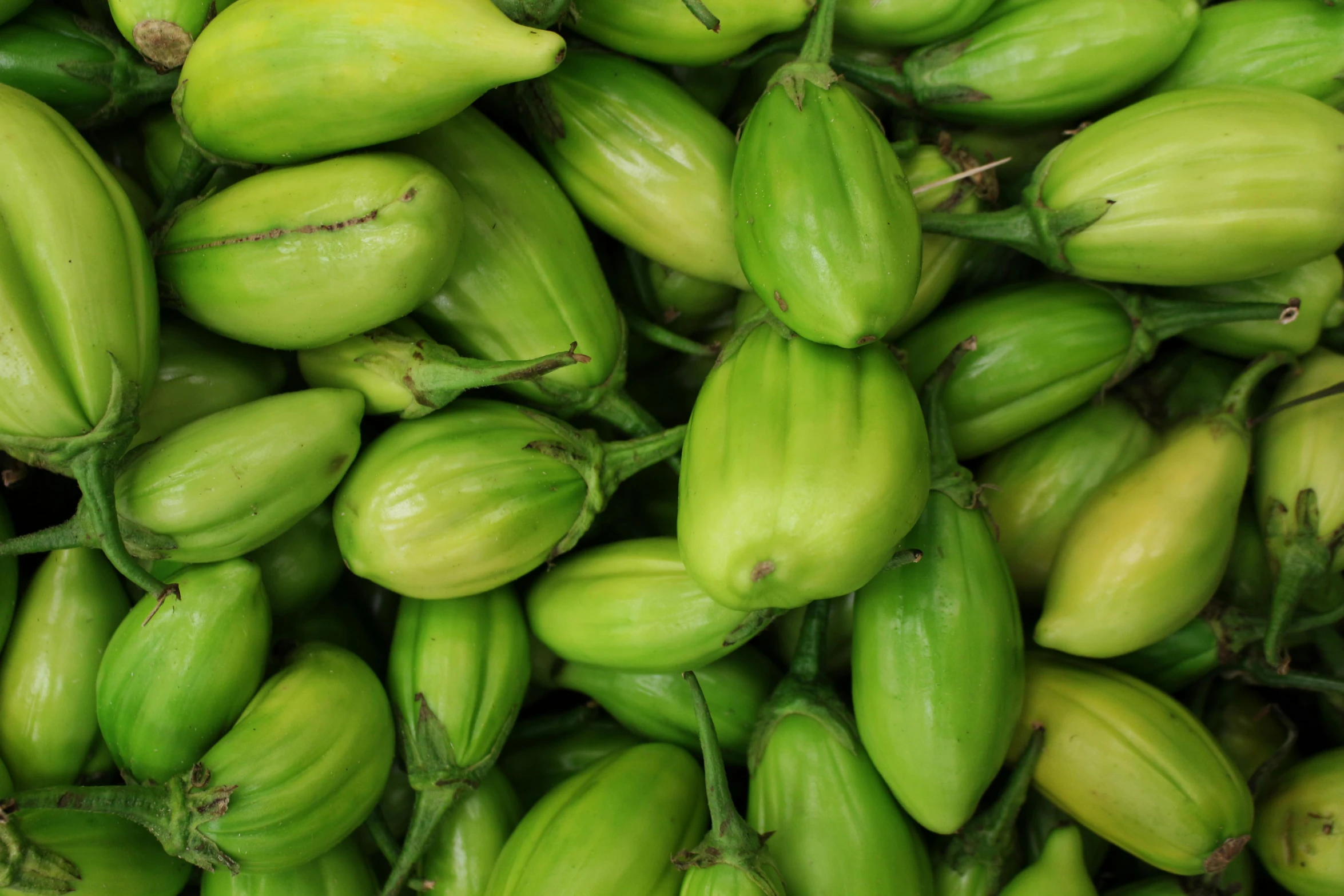 a large pile of fruit are green and yellow