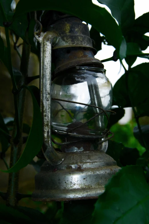 an old, rusty lamp with a green plant behind it