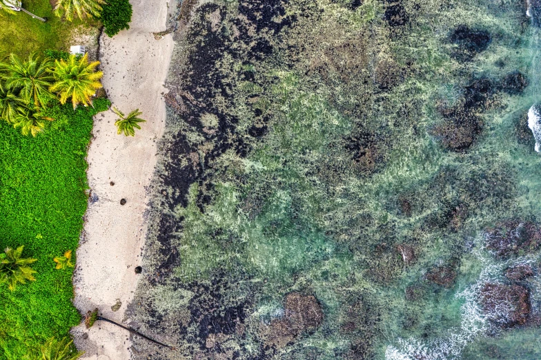 an aerial view of a lush green land and the ocean