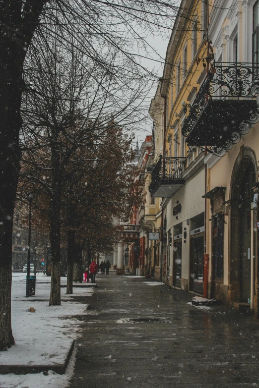 a person walking down the street during a snowfall