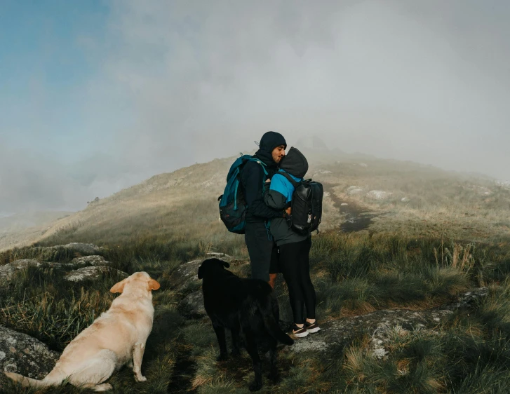 a man walking with two dogs on top of a mountain