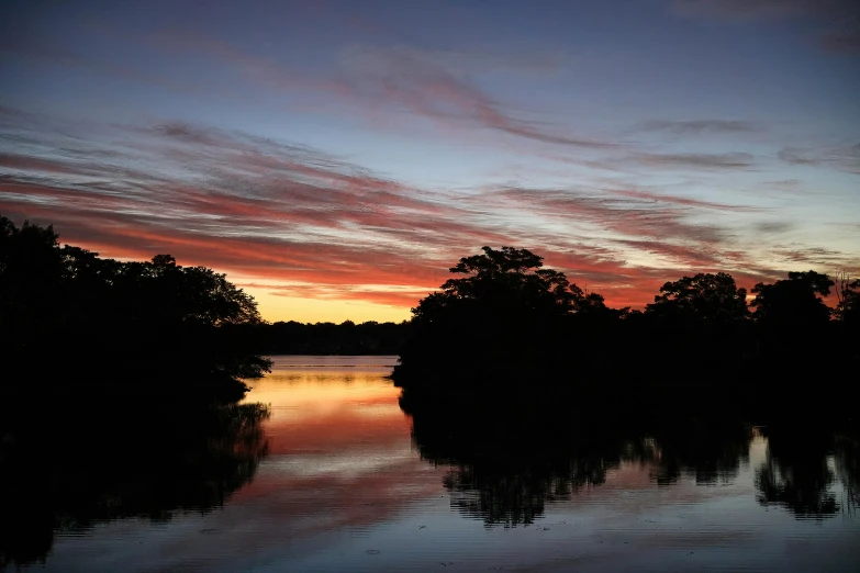 the sunset over trees and the water is reflecting it