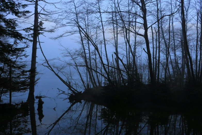 a view of water with some trees in the background