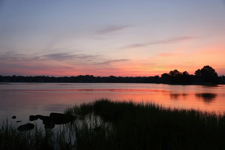 a body of water near many trees