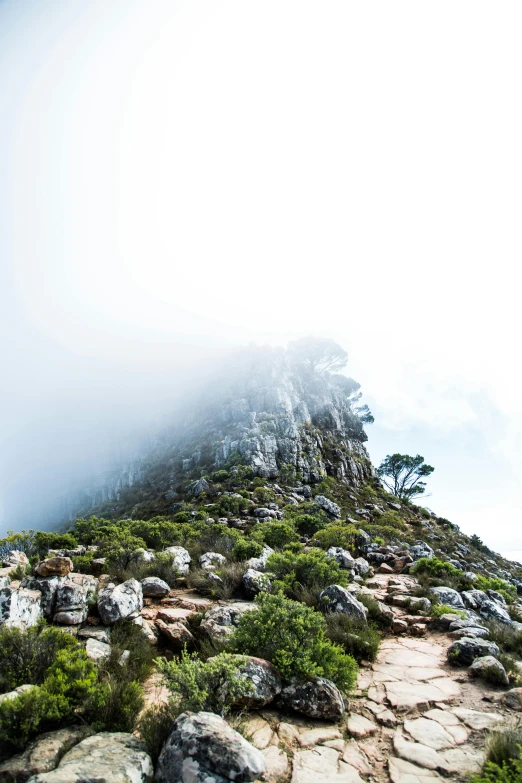 the mountain has fog and low trees on top