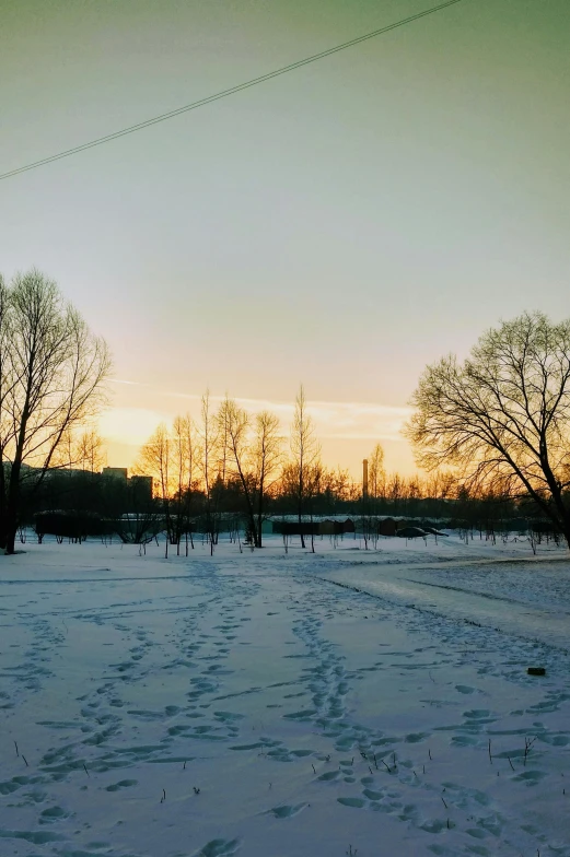 a very pretty snowy field with some trees in the background