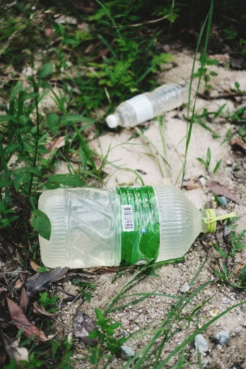 an empty plastic bottle lies on the ground