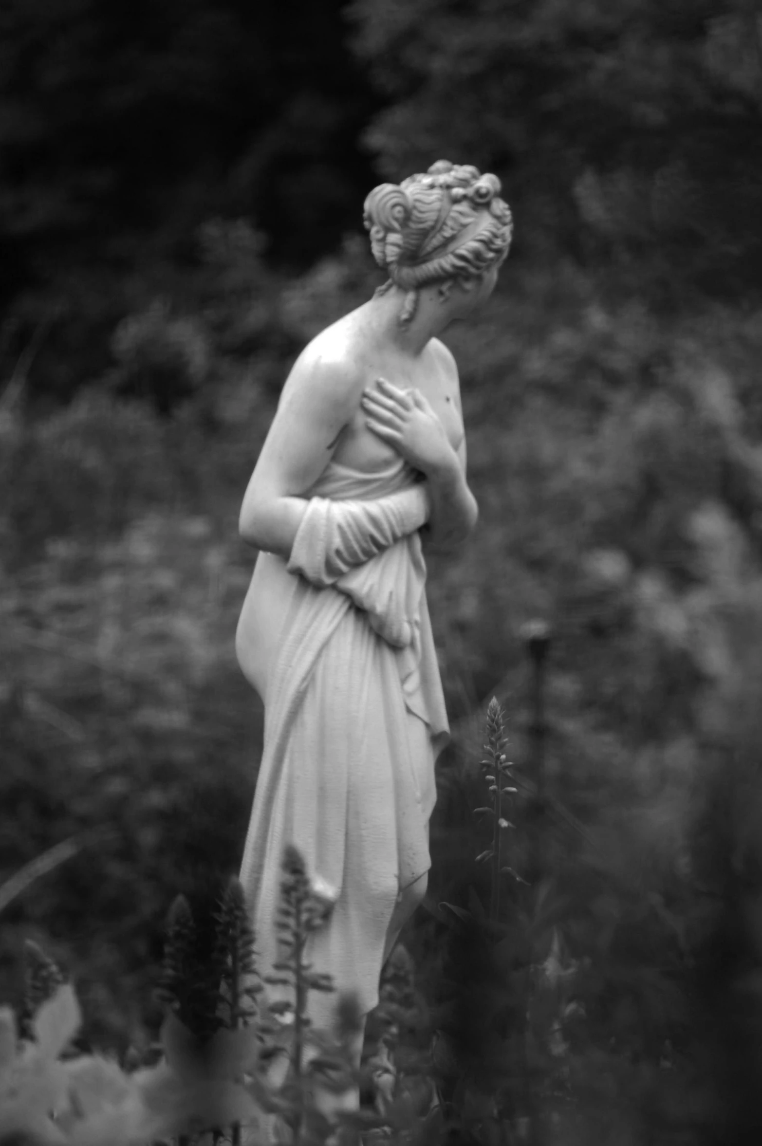 a statue is standing in the middle of some plants