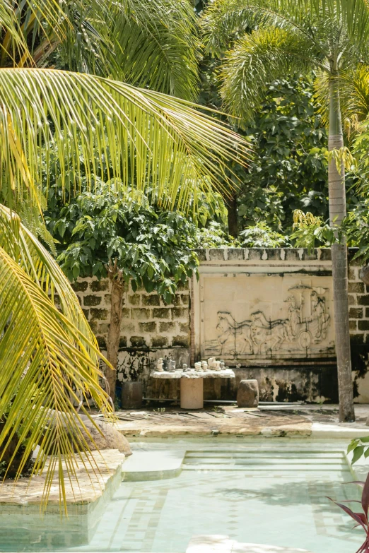 a swimming pool in the midst of a tree lined garden