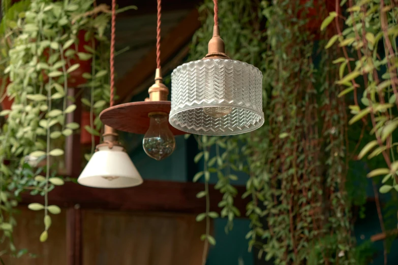 two hanging lights made from glass are attached to wood and surrounded by ivy and potted plants