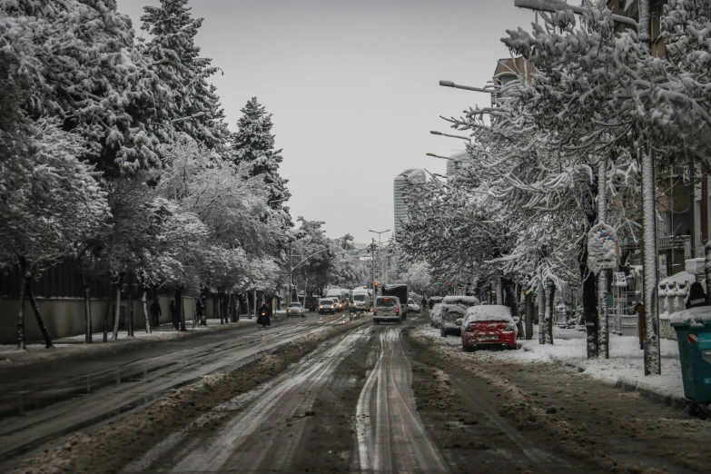 a street is shown filled with snow and trees