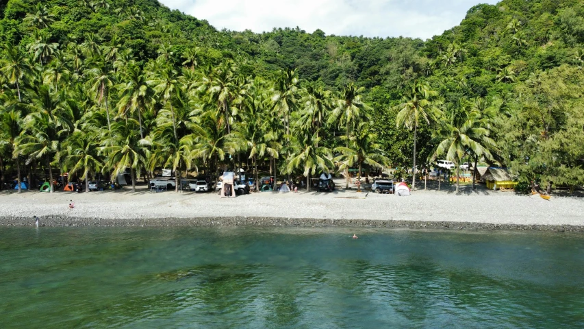 a group of people at the beach next to green trees