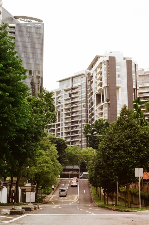 trees and buildings line the street corner near traffic