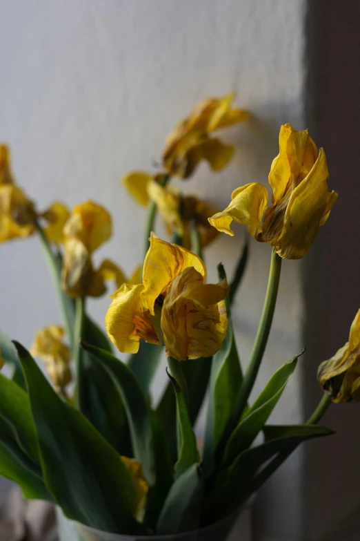 a bunch of flowers that are in a vase