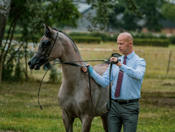 a man that is standing on top of a horse