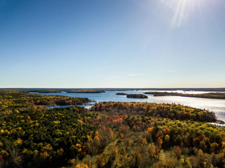 an aerial s of an autumn forest near the lake