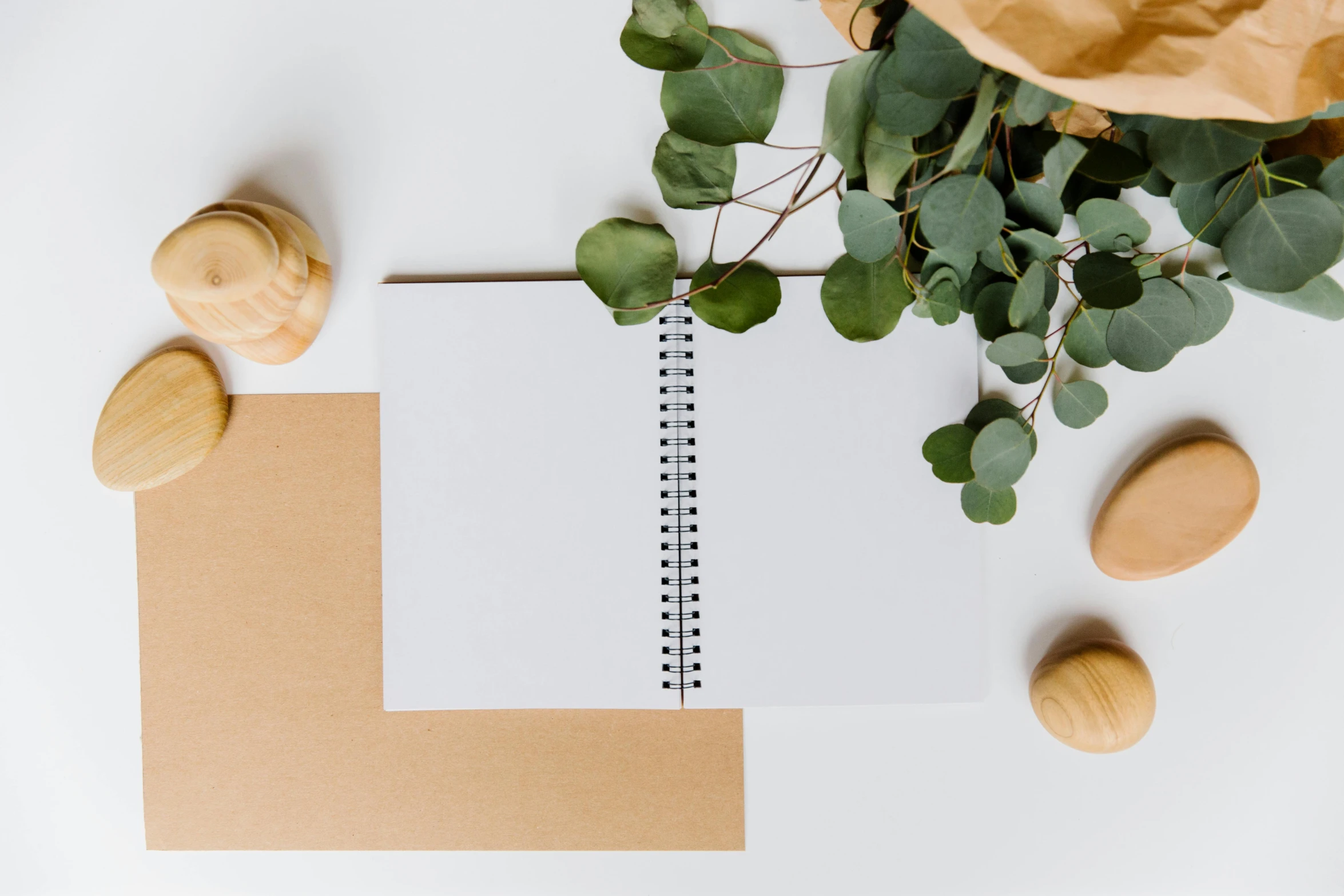 spiral notebook, pen, plant and various shapes on white background