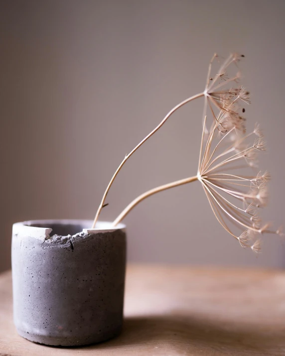 a single dead flower is in a grey vase