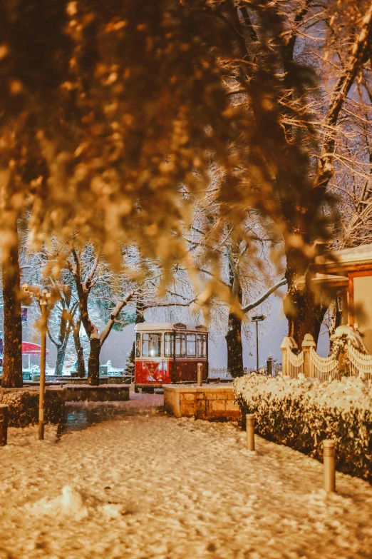 a train sits near the trees in front of it