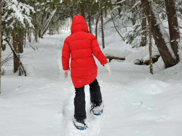 the woman in the red jacket is snow boarding through the woods