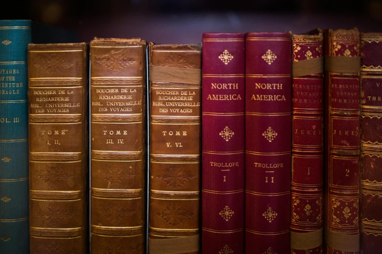 four books on the shelf with different colors