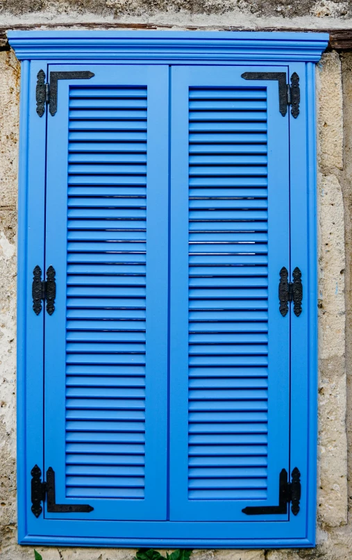 a blue window shutter and stone building with green leaves