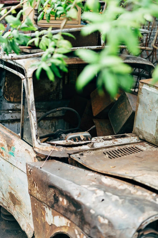 an old rusted truck sitting in front of plants