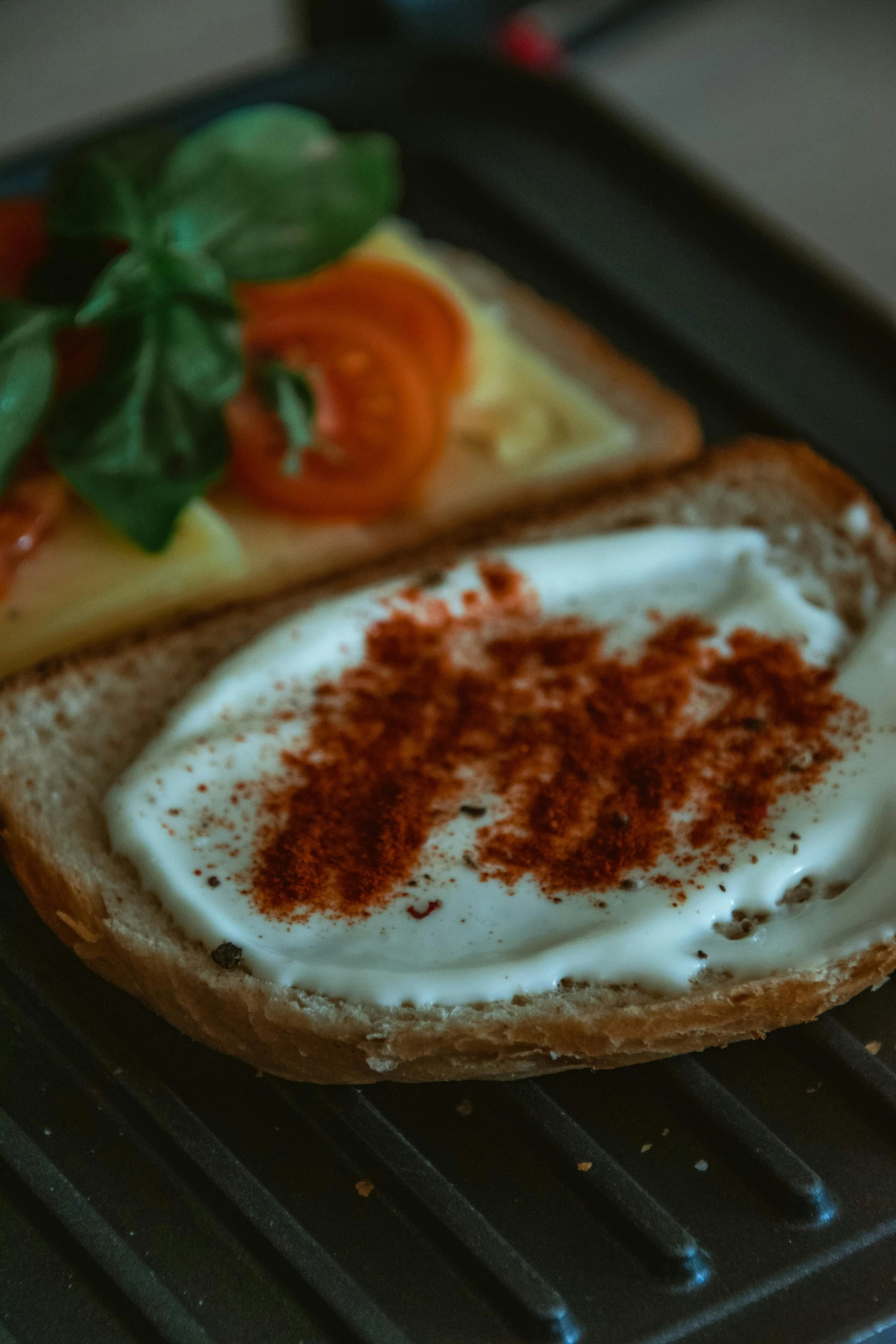 close up of a sandwich and an appetizer on a grill