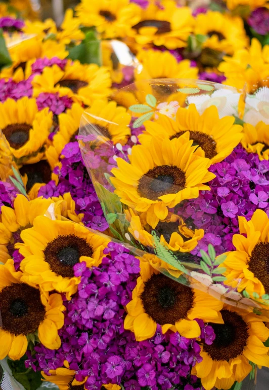 a field of sunflowers and purple flowers for sale