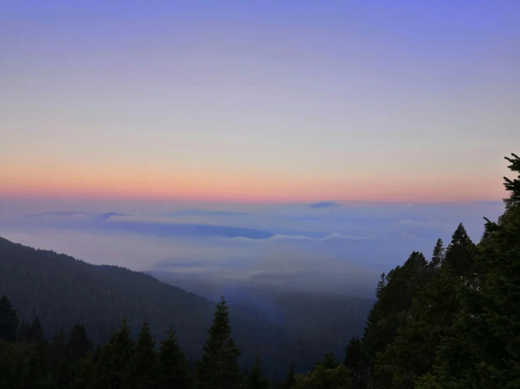a foggy mountainside view with tree tops at sunset