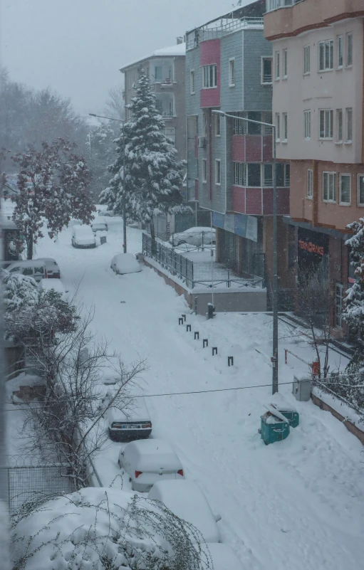 snow covered sidewalks and trees along a street