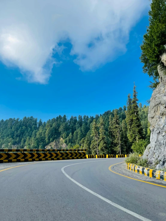 the road is winding up a mountain by some trees