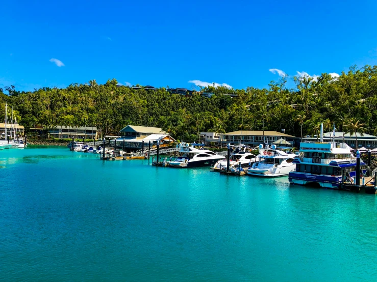 many small boats in a harbor on a blue water surface