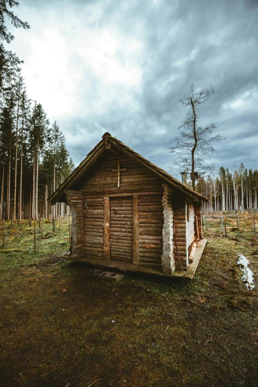 a lone house stands in the middle of the woods