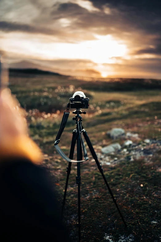 camera equipment sits on tripod, with view of grassy area