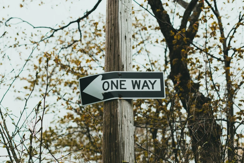 two direction street sign attached to pole in front of tree