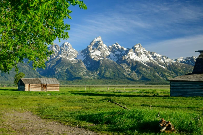 an old cabin in a pasture with mountains behind it