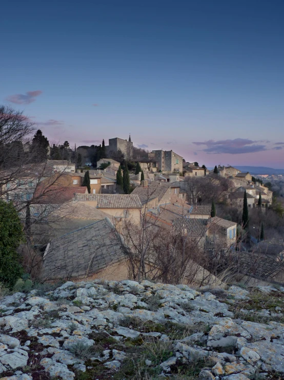 a city with rock walkway and trees at night