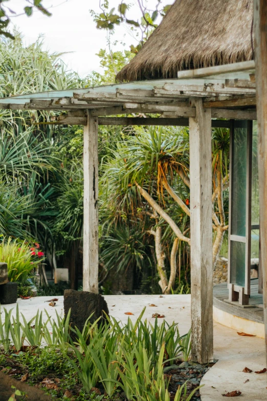 a view from inside a house with trees and bushes