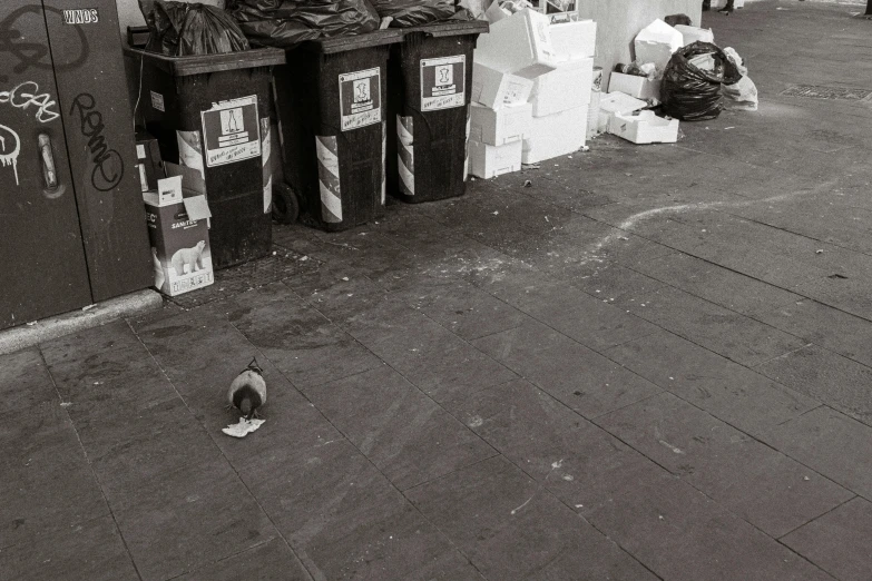 two men are sitting in front of trash cans