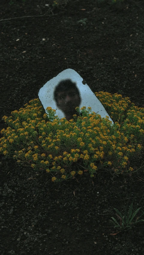 a person with a book in the flowers