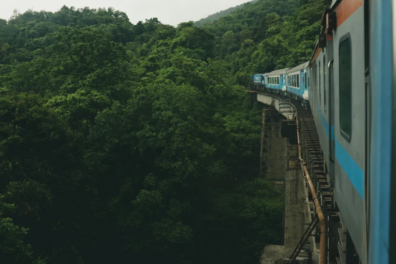 a train driving along an elevated track near a forest