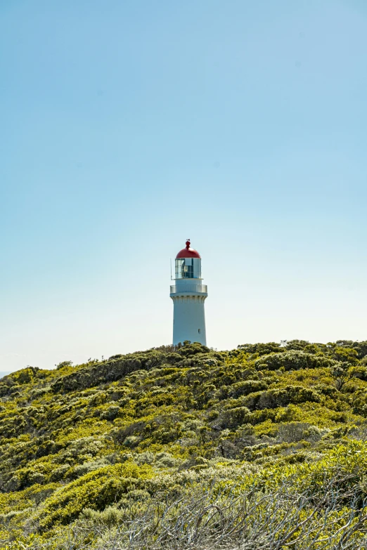 a white and red lighthouse on a grassy hill