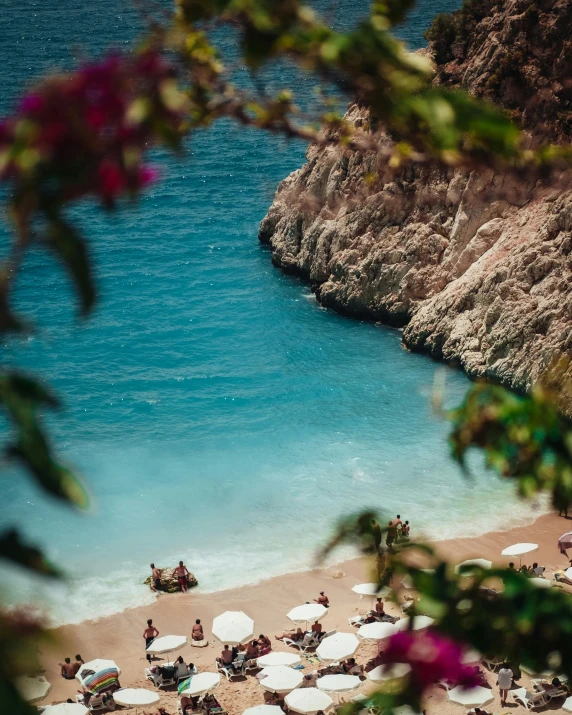 view of sandy beach from tree with umbrellas