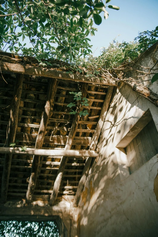 a building with an unpaved roof made out of pallets