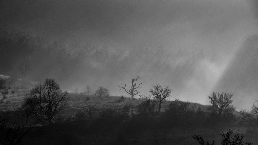 foggy dark landscape with trees and a building in the distance